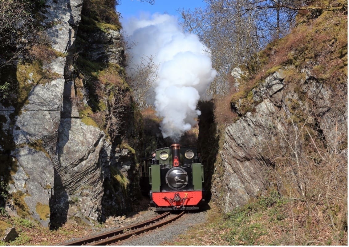 Locomotives Through the Lens