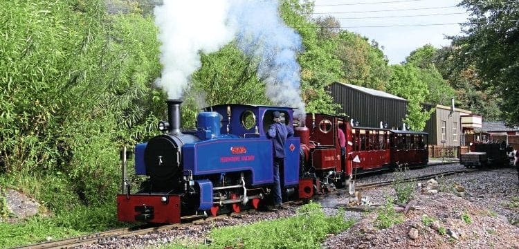 Two decades of steam at Perrygrove