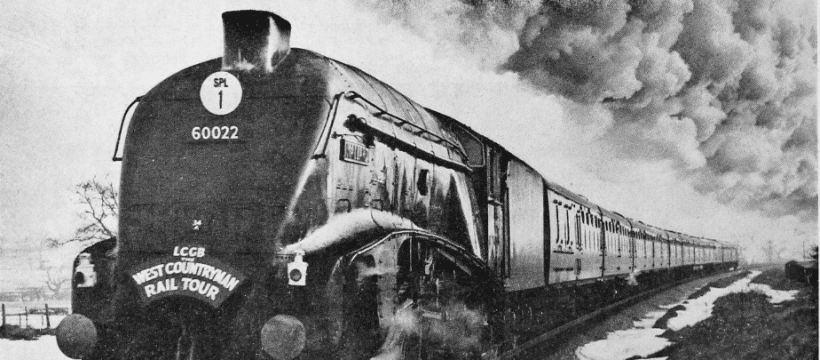 April 1963: Mallard in Somerset