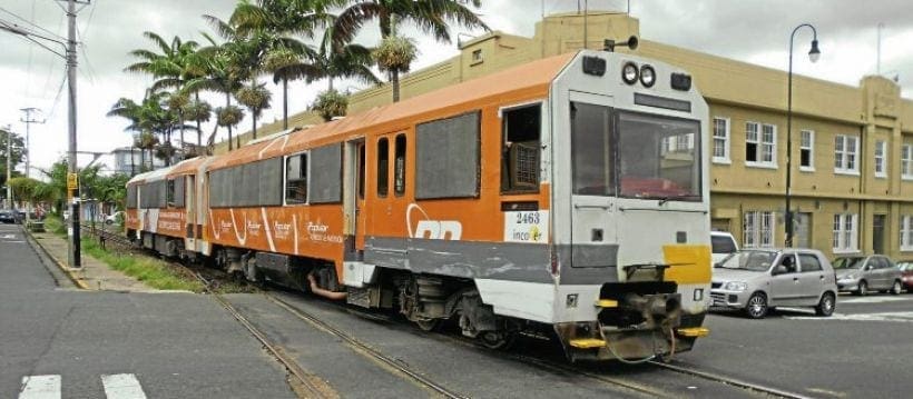 Costa Rican rail variety