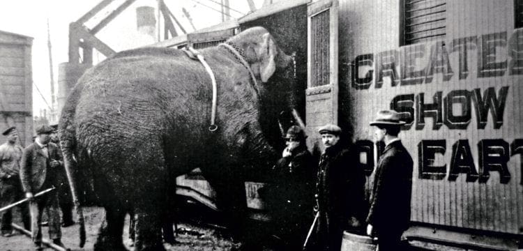 Circus trains – Roll up, roll up for the ‘Greatest Show on Earth’