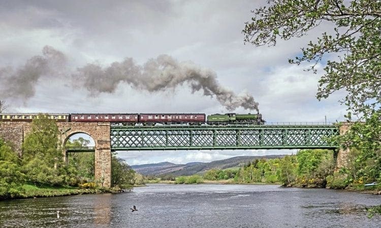 Mayflower in the Highlands