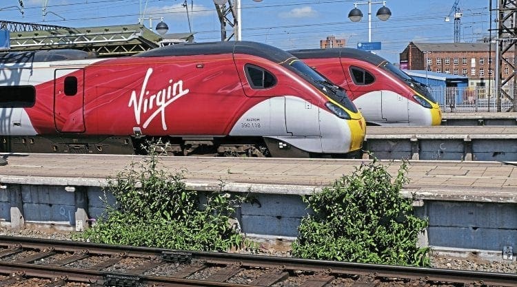 The shocking state of trackside vegetation in public areas