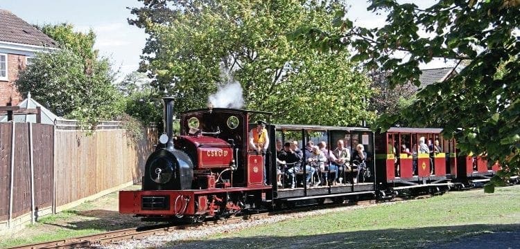 Nine steam at Leighton Buzzard gala