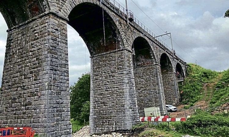 Endangered crayfish rescued during Cumbria viaduct work