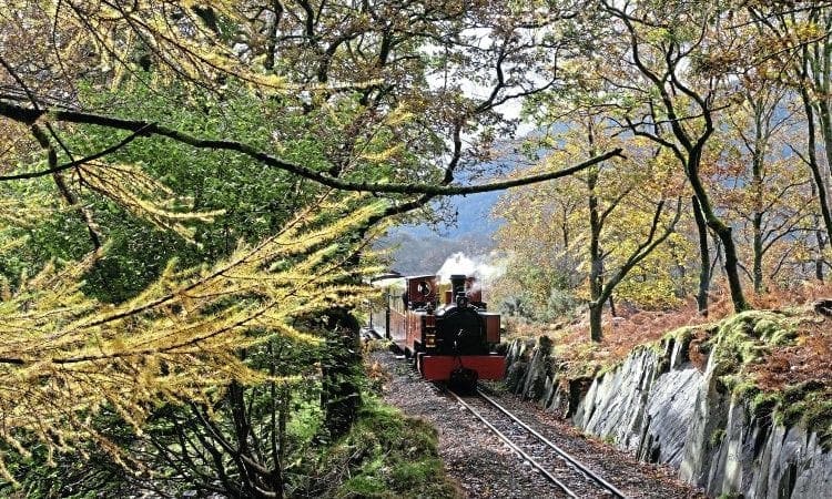 Baldwin steams on WHR