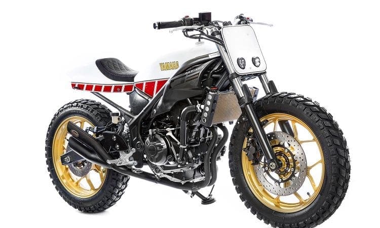 Sweet special: This is a Yamaha MT-03. Yep. Looks brilliant.