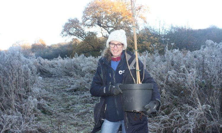 Canal charity and Chester zoo join forces to save rare trees