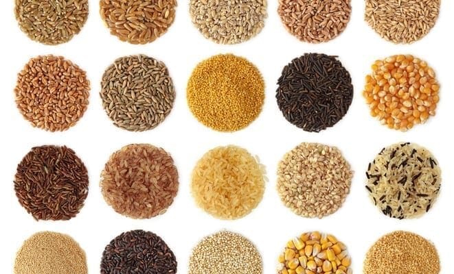 Seed Week 2021
