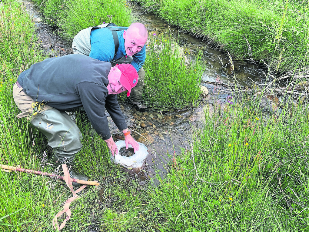 West Cumbria River Trust’s Jonny Kidd (blue top) and Environment Agency’s Mike Farrell release salmon fry into How Beck. EA